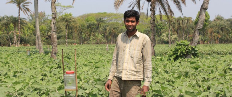 Mohammed Azad stands next to a pheromone trap, which lures insects and decreases the need for pesticides.  