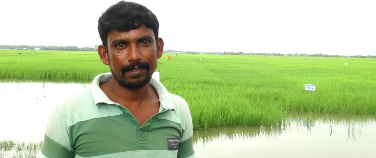 Mohammad Mofizul Islam Gazi stands in front of his rice field.