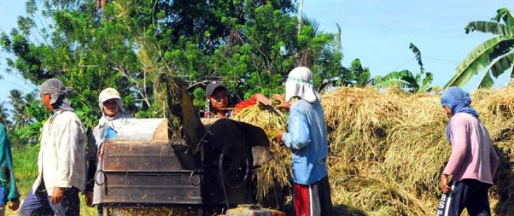 Farmers in Aklan province will be able to generate additional income by selling their rice husks to Asea One.