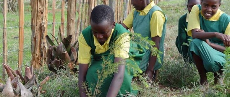 Students plant trees in Central Kenya.
