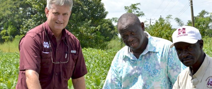 From left: Dan Reynolds, lead researcher for the Soybean Innovation Lab SMART Farm; Saaka Buah, director of the Savanna Agricultural Research Institute’s station located in Wa, Ghana; and George Awuni, SMART Farm manager.