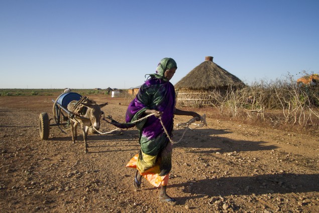 Barni Abdullahi Transports Water with her Donkey Cart