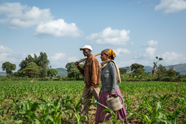 Creating a bright future. Of the 27 million people in Ethiopia living in chronic poverty and food insecurity, the majority are women. USAID has provided many rural women, including Danchile Kayamo (shown here with her husband Negussie Edao on their way to work in their garden of red peppers), with the tools and skills they need to support themselves and their families.