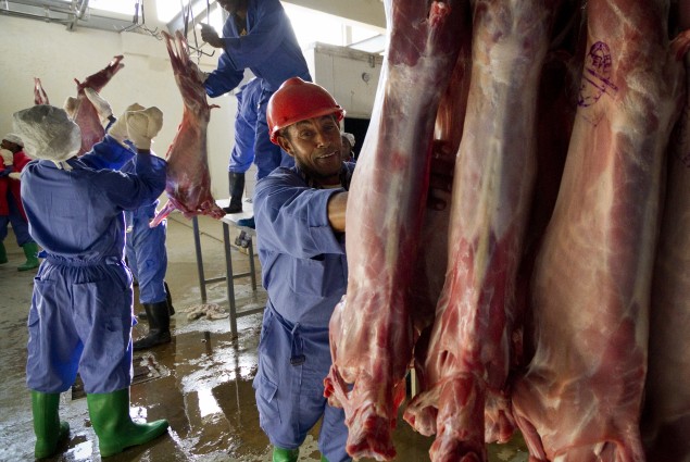Meat Processed for Export
