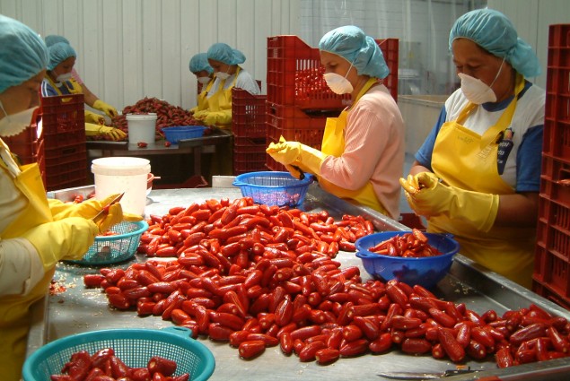 Women Working at Proaji Plant