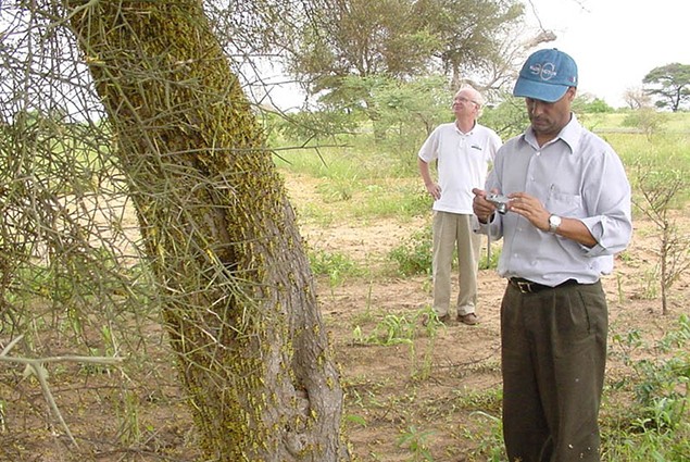 Locust - Assessing the Situation in Senegal