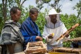 Abebaw Melesew used the training he received from USAiD to turn around his beekeeping business. He is now a model farmer, training others to succeed in honey production.