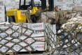 US marines prepare relief goods before they are loaded onto a US KC-130 plane for victims of Super Typhoon Haiyan in Tacloban, a