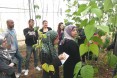 Through the partnership with Al Quds University, Palestinian students of agriculture are learning how they might apply magnetic 