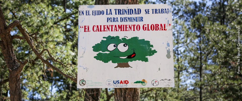 USAID colabora con el Gobierno de México y la sociedad civil para medir y reducir emisiones de gases de efecto invernadero produ