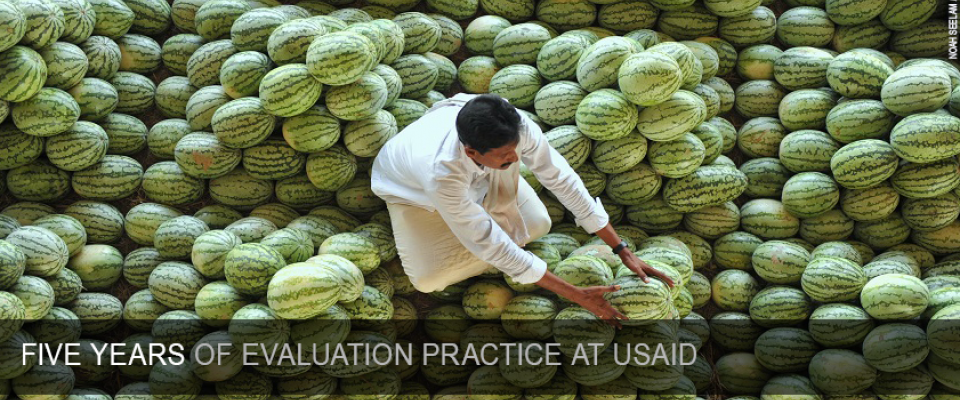 USAID's Evaluation Policy Five-Year Report