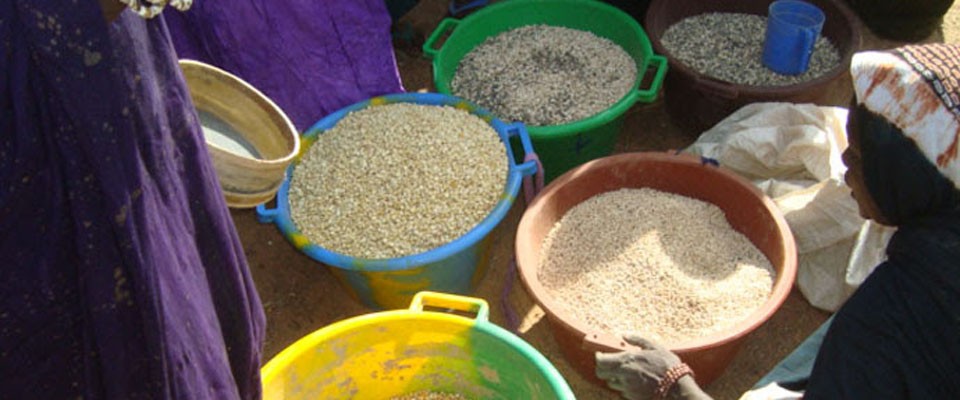 Mauritania Food Baskets