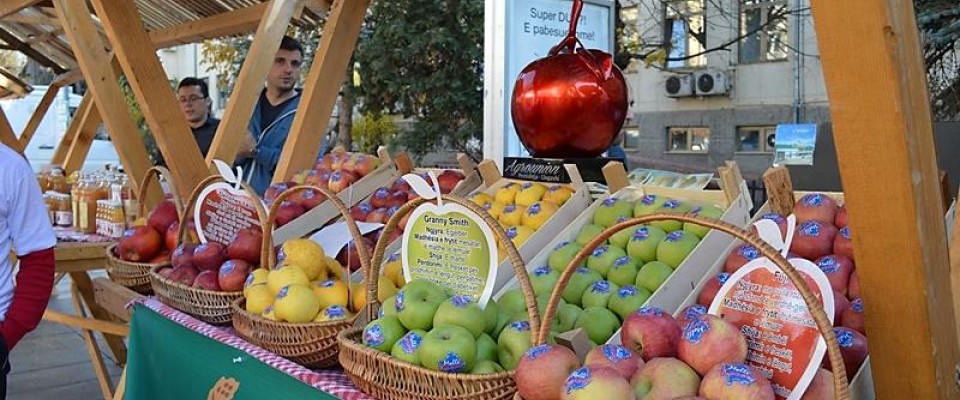 Promotion of Kosovo made apples 