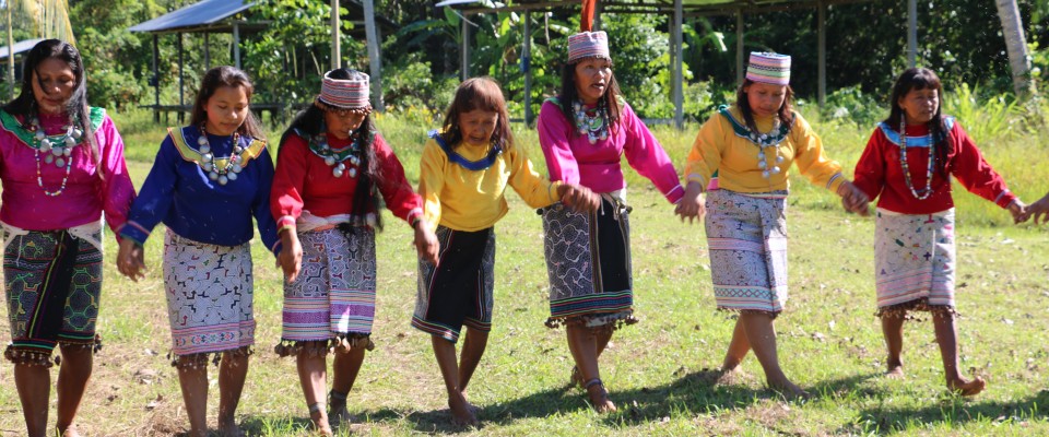 Welcome Shipibo dance to the native community Nuevo Saposoa in Ucayali.