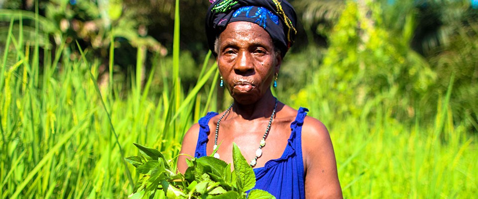 A woman in her farm in Forest Guinea.