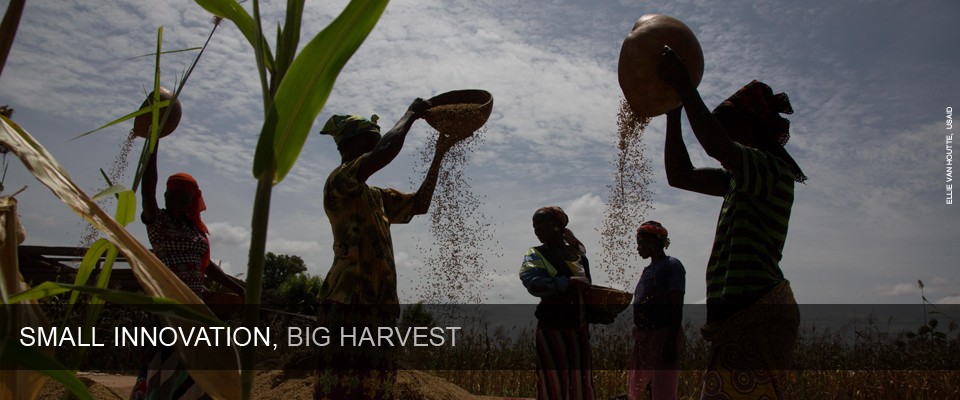 Small Innovation, Big Harvest. Photo: Ellie Van Houtte, USAID