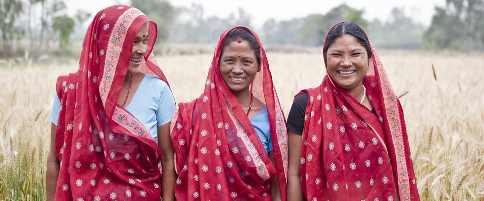 Three young women stand in a wheat field with identical red saris.