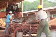 Workers at the Arbol Verde sawmill in the Petén region of Guatemala process lumber.