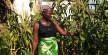 Mary Utsewa admires stalks of corn that eclipsed her in height. Thanks to a USAID donation, she recently harvested 1,000 kilograms to consume and sell.