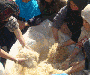 Women mix straw with urea and water to increase the straw’s nutritional value and create feed reserves that will sustain livesto