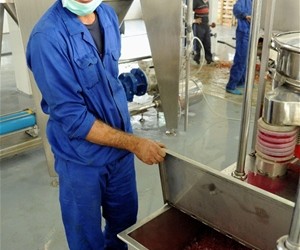 In the OMAID Bahar juice factory, a worker shows how pomegranates are turned into juice concentrate.