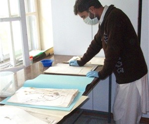 A student intern at Kabul University carefully cleans and documents plant specimens.