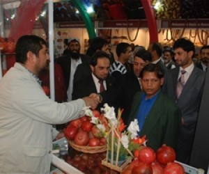 Afghanistan’s pomegranates are on display at a trade show in India in 2010.