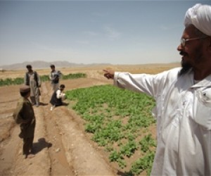 Mullah Mahboob points out a field watered by a karez cleaned by local laborers through the USAID-funded AVIPA Plus project.