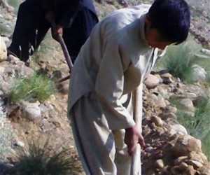 Eighteen-year-old Abdul Khaliq helps terrace a hillside in Nurguram, Nuristan Province.