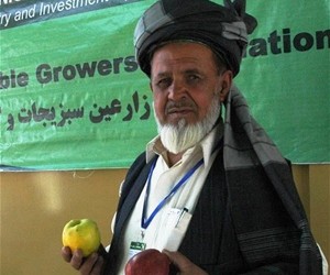 USAID helped Salam Jan, president of the Gardez Vegetable Association, by designing a logo and producing special cartons for tra