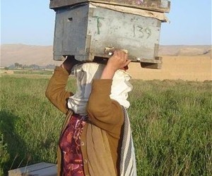 A trainee carries the beehive she received with at the end of the training.