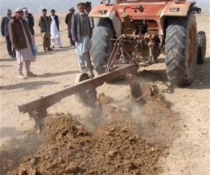 A tractor plows land in Balkh’s Dihdadi district to ensure that wild pistachio seedlings have proper spacing and irrigation.