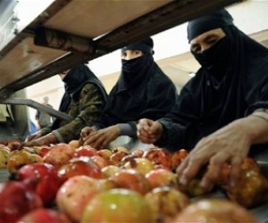 Afghan women sort pomegranates before they are processed into juice concentrate. Afghanistan’s new facility will create 200 jobs