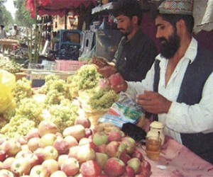 Sayed Mahmmad and his brother prepare their produce for sale.