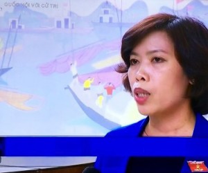 Dao Tu Hoa answers media ques-tions during her first NA session Vietnam Television