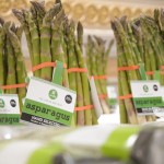 Kosovo growers sell their hand-picked asparagus under the brand name Viridis. It’s Latin for fresh, young and green. 