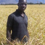 Leo Andres Pablo Julson is a rice farmer in one of FTF West’s intervention areas. 