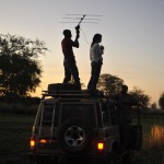 Fernandinho Mequicene scans the Gorongosa landscape looking for a radio-collared lion with scientist, Paola Bouley