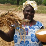 Coumbayel Coulibaly displays a calabash full of the high-yielding New Rice for Africa varietal.
