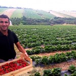 Bumper crops of strawberries have two first-time entrepreneurs reeling in profits — and eyeing expansion thanks to USAID 