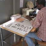 A malaria microscopist examines blood smears in a health center in Oromia Region.