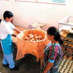 New bakeries bring work opportunities to rural Mayan women and improved nutrition for their families.