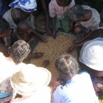 Women gather around seeds. Credit: USAID