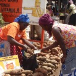 A retailer sells vitamin A-rich orange-fleshed sweet potatoes to a buyer at Kalerwe market near Kampala city.