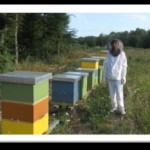 Zorica Mekic of Sekovici learned beekeeping through USAID’s “Women’s Empowerment Through Farming” Project.