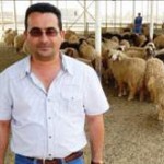USAID helped Ahmad Alsaabari establish a demonstration feedlot to raise sheep and teach farmers new feeding, monitoring and mark