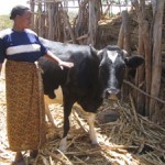 Luki Muia, of Machakos, Kenya, once had barely enough milk to sustain herself and her family.