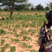 Malian Aïssata Konaté is president of her local women's group, supplying female farmers with high-yield seeds.