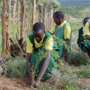 Students plant trees in Central Kenya.
