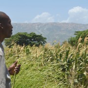 Master farmer Auguste Jean-Emmanuel looks out over the corn fields at the Rural Center for Sustainable Development in Bas-Boen.